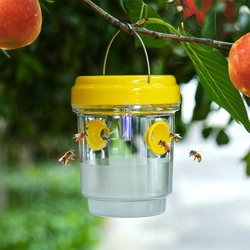 Solar Street Light Led - Pièges à mouches à fruits solaires